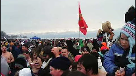 Polar Bear 2010 Bradford Beach Milwaukee