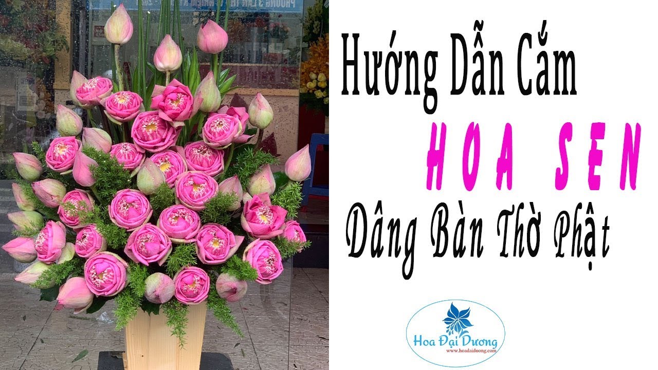 Hướng dẫn Cắm Hoa Sen dâng Bàn Thờ Phật Đẹp đơn giản 2019 - YouTube