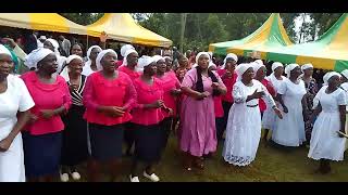 Blessed sound at Mr kalani🎶🎵🎹