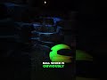 This Black Light Flashlight Finds Dog Messes &amp; More!