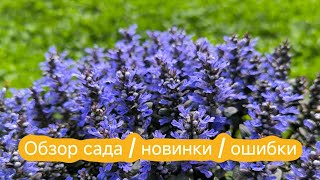 Обзор сада 18 апреля / новинки /ошибки