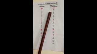 Basic Malay Language Teaching