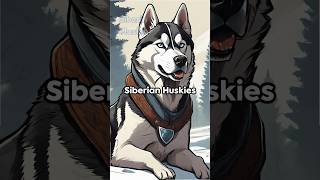 TOP 3 SIBERIAN HUSKY FACTS⭐(MUST WATCH)