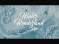 Winter wonderland in bulgaria     
