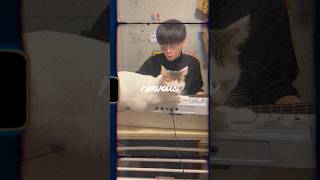 nervous🐈 #music #singersongwriter #shortvideo #dtm #cat #rock #reels #guitar