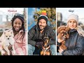 Do dogs look like their owners  keegan robin