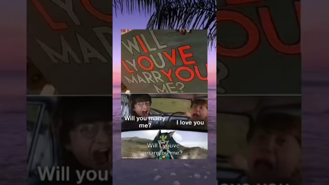 What Did You Read
