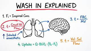 Time Constants I Wash in of volatile anaesthetics I Pre-oxygenation time