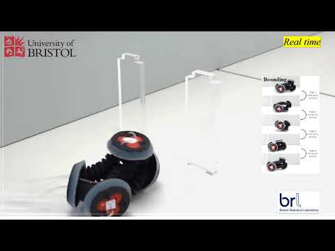 New multi-purpose robot changes shape for different uses