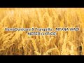 {Lyrics}HarrisDontcare & Tranquillo - MFANA WADI METER {promo videocreated at(Webhavoc?}