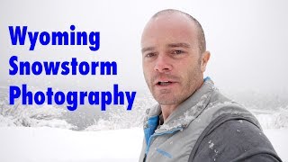 Landscape and Wildlife Photography in a Snowstorm in Grand Teton National Park