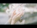 花雨 - kau