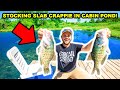 CATCHING and STOCKING SLAB CRAPPIE in My CABIN POND for the FIRST TIME!!!