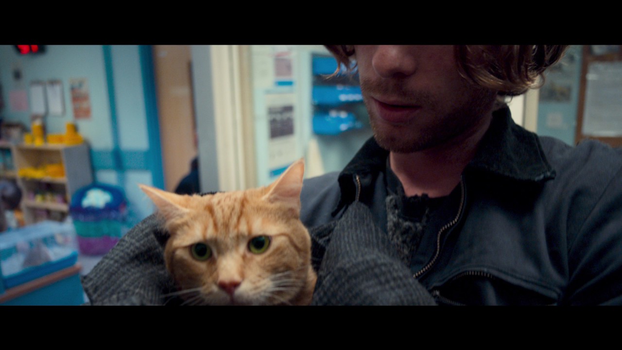 A street cat named bob. Уличный кот по кличке боб (2016). Рождество кота боба. Кот боб трейлер. A street cat named bob (2016).