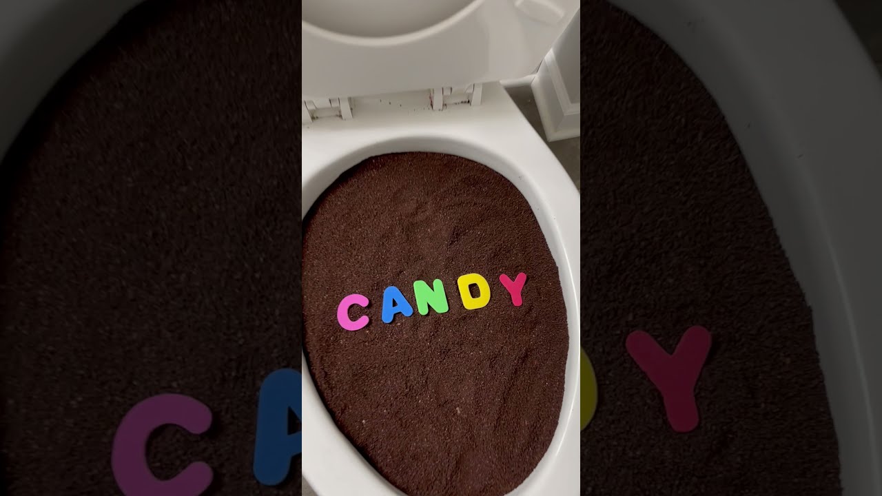 Experiment: Coffee Candy in Toilet 