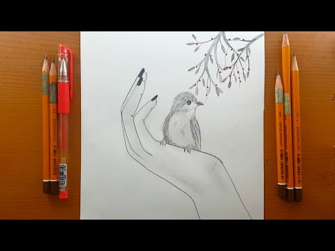 Video: Come Disegnare Bellissimi Motivi