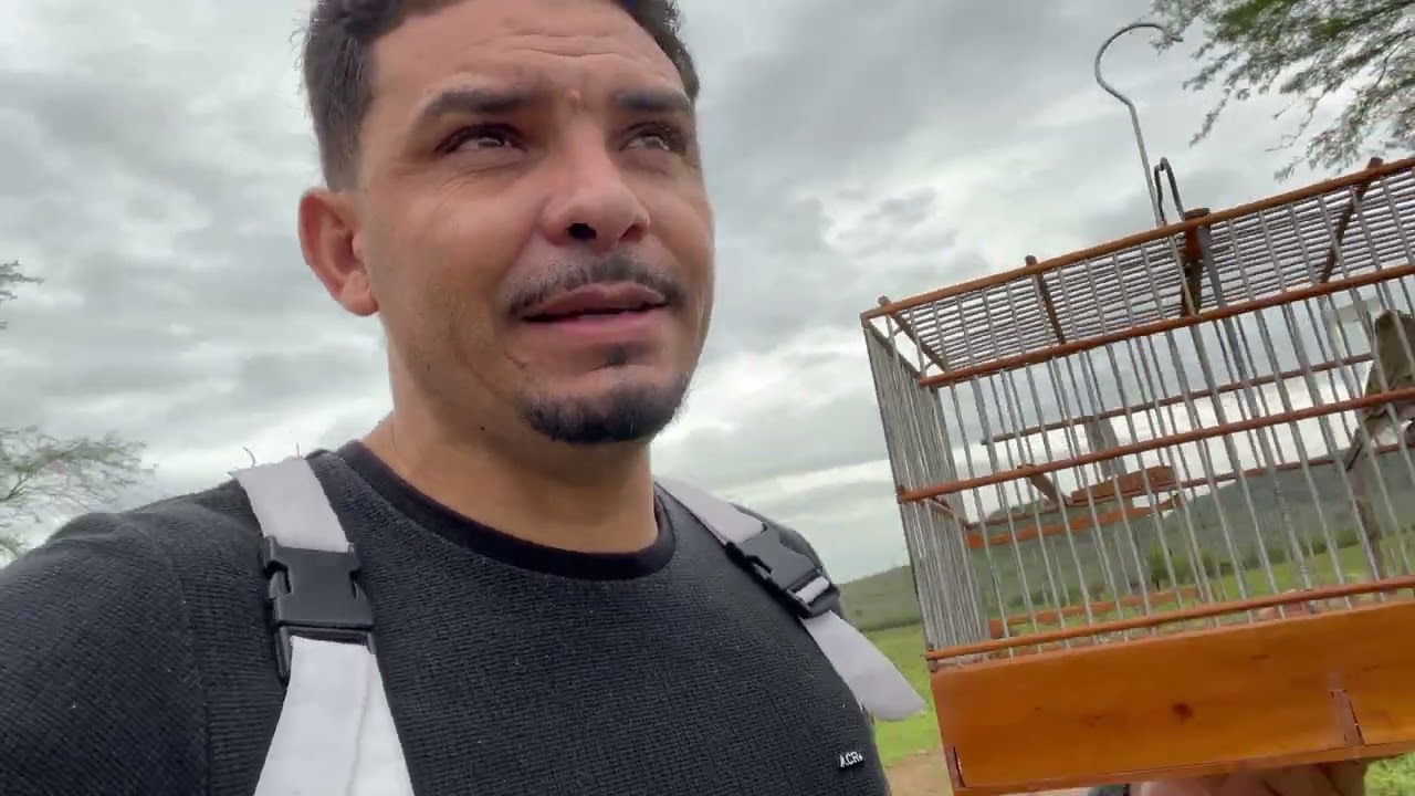 Melhor jeito pra ensinar seu golinha  pegar no pé 