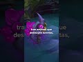 Tres cosas que debes saber sobre la Temporada 2024 | League of Legends #shorts