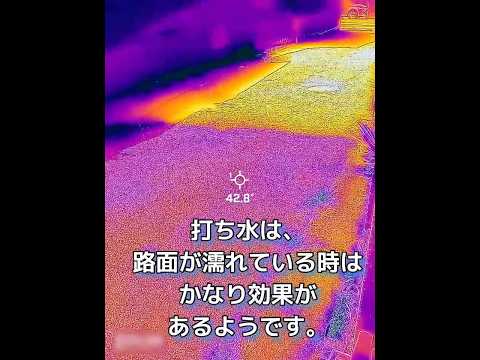 真夏の路面60℃→打ち水でどう変わる？サーモカメラで捉えた驚きの結果