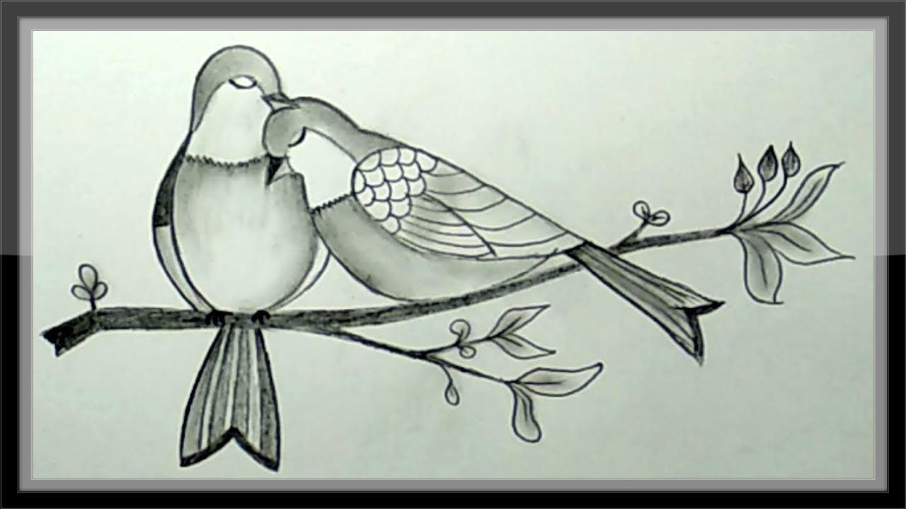 Pencil Drawing - How To Draw A Pair Of Beautiful Birds ...