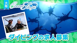 大阪でダイビングの求人募集！海に興味の有る方、インストラクターになりたい方必見