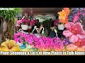 Shopping at six nurseries and tons of new plants the home depot and shop monrovia  saturday vlog