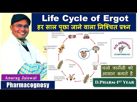 आसान तरीके से अरगोट (क्लैविसेप्स) का जीवन चक्र || फार्माकोग्नॉसी