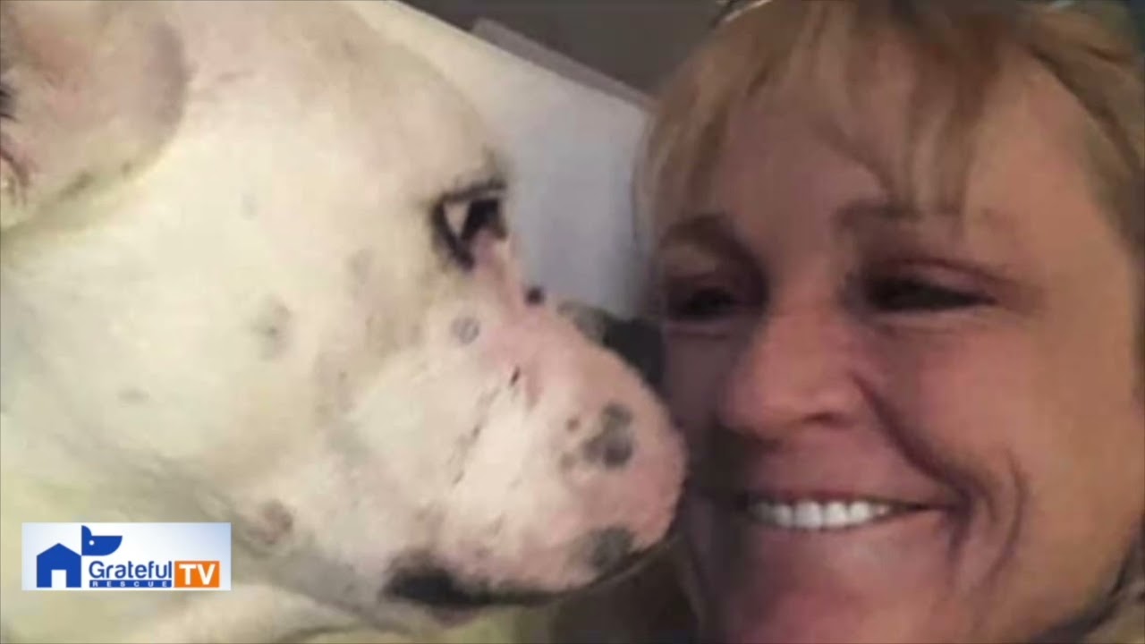 Remember Faith - one year after she passed away