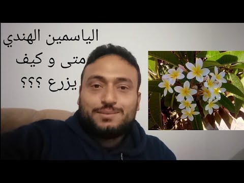 الياسمين الهندي متى و كيف يزرع