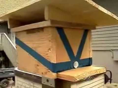 Bumblebee Nest Box - YouTube
