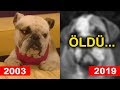 OLUMLU BAK - YouTube