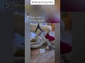 Daily funny pets 23