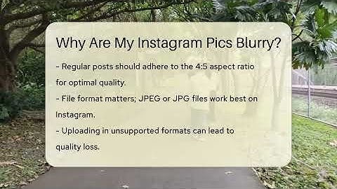 Why Are My Instagram Pics Blurry? - Everyday-Networking