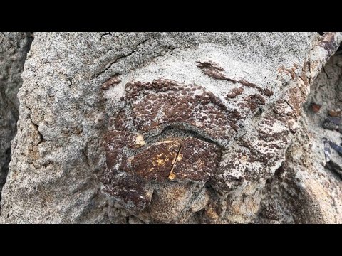 Video: George Towns gatemat: vad ska man äta i Malasias mathuvudstad