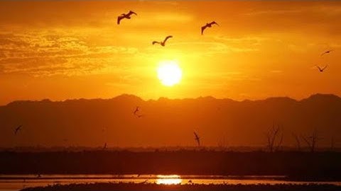 من أعذب التلاوات وأجملها راحه للقلوب لاتوصف