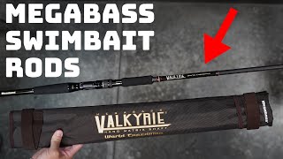 The Most Versatile Swimbait Rods That You Don't Want To Miss Out On!