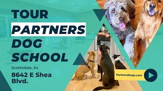 Partners Dog Training | Shea Location Tour 2023