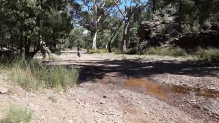 Dougie Drive-By Par Flinders Ranges
