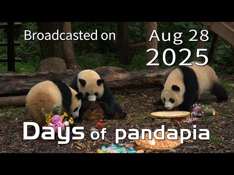 20250828 Broadcast Top Highlights 09 - YouTube