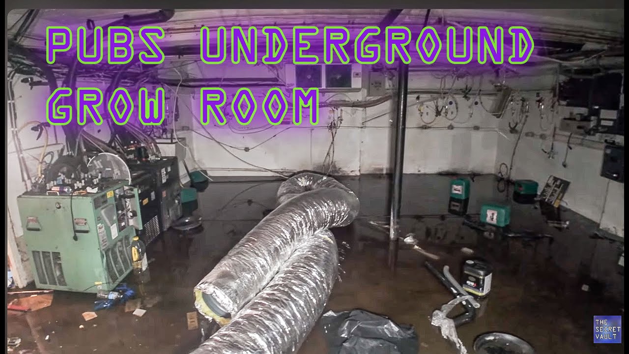 Shocker Room PUB GROW ROOM UNDERGROUND SHOCKER - YouTube