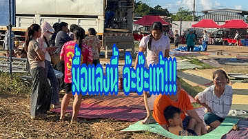 ถ้าเป็นแบบนี้!!คักแท้มื้อแลง #อุ๋งอิ๋งเพชรบ้านแพง #สาวน้อยเพชรบ้านแพง 