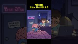 시험전날 밤새는 것이 최악인 이유 #시험기간 #공부법 #시험공부