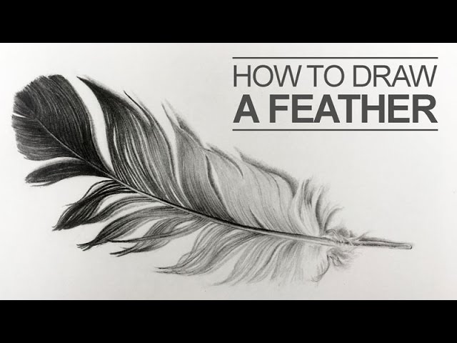 Hey guys, Here's a quick reel of how I draw my sparkly feathers. I us