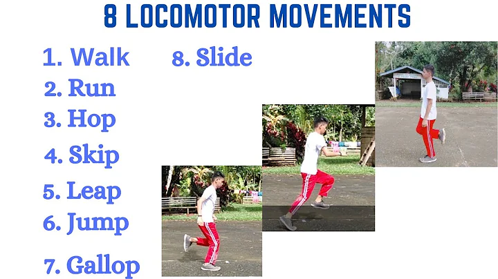 8 LOCOMOTOR MOVEMENTS