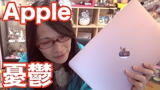 ジョブスを裏切ってMacBookのアレを買ってしまった！