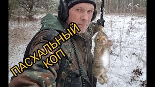 Пасхальный коп с зайцем.Minelab safari.Коп 2018. Пасхальный коп с зайцем.Minelab safari.Коп 2018.