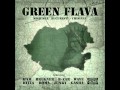 Roma - Duhul Din Lampa (2007) Vocabule 2/Green Flava