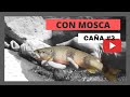 PESCA a MOSCA ✔️ 【CAÑA 8'6" Linea #3 】✔️