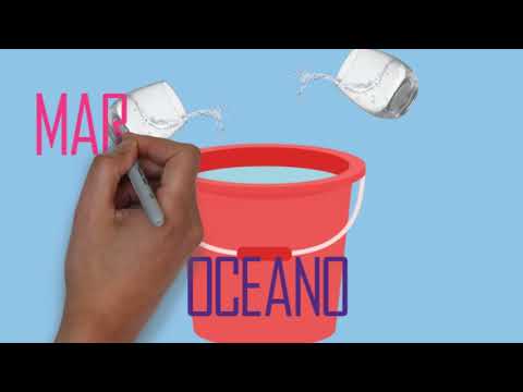 Vídeo: Diferença Entre Oceano E Lago