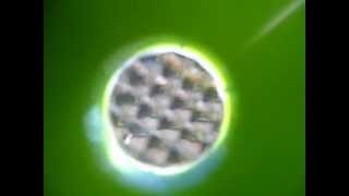 Version 2 of the video